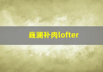 巍澜补肉lofter