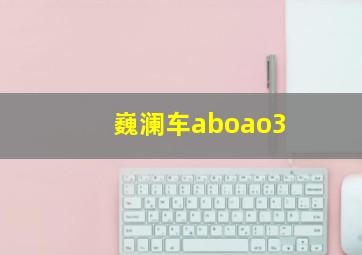 巍澜车aboao3