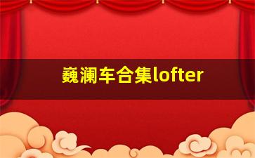 巍澜车合集lofter