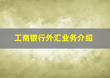 工商银行外汇业务介绍