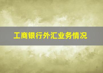 工商银行外汇业务情况