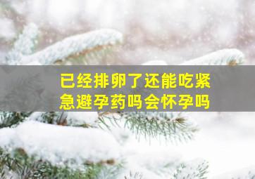 已经排卵了还能吃紧急避孕药吗会怀孕吗