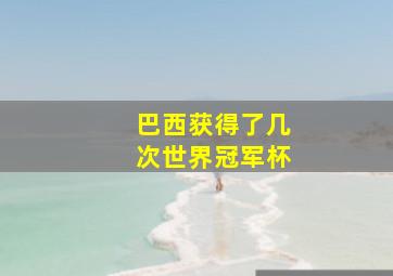 巴西获得了几次世界冠军杯