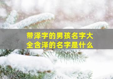 带泽字的男孩名字大全含泽的名字是什么