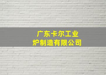 广东卡尔工业炉制造有限公司