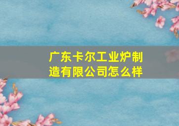 广东卡尔工业炉制造有限公司怎么样