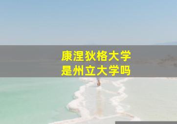 康涅狄格大学是州立大学吗