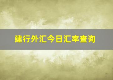 建行外汇今日汇率查询