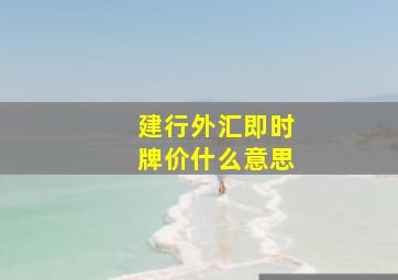 建行外汇即时牌价什么意思