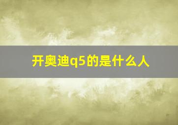 开奥迪q5的是什么人