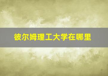 彼尔姆理工大学在哪里