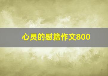 心灵的慰籍作文800