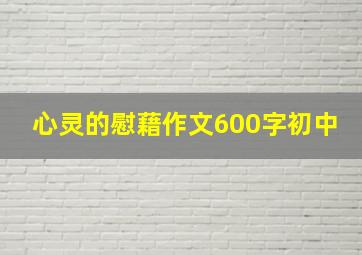 心灵的慰藉作文600字初中