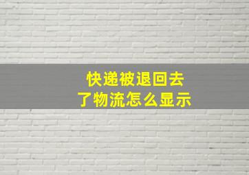 快递被退回去了物流怎么显示