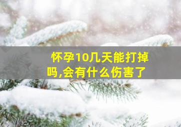 怀孕10几天能打掉吗,会有什么伤害了