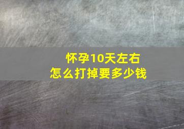 怀孕10天左右怎么打掉要多少钱