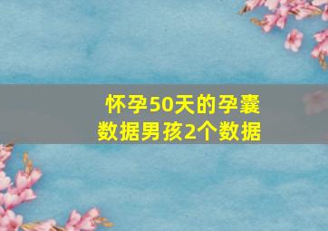 怀孕50天的孕囊数据男孩2个数据