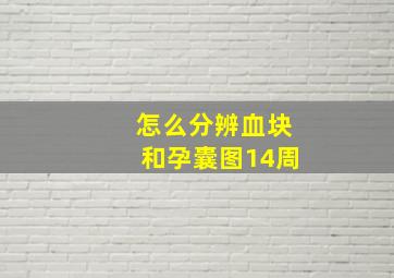 怎么分辨血块和孕囊图14周