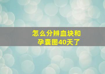 怎么分辨血块和孕囊图40天了