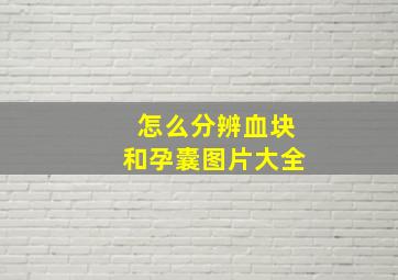 怎么分辨血块和孕囊图片大全