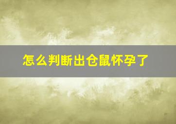 怎么判断出仓鼠怀孕了