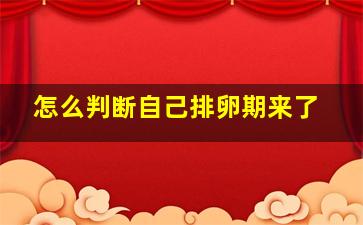 怎么判断自己排卵期来了