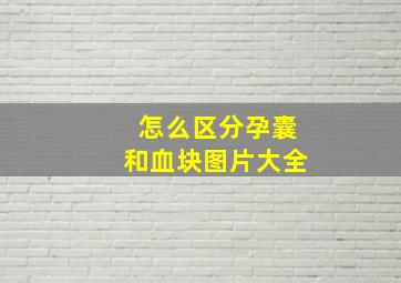 怎么区分孕囊和血块图片大全