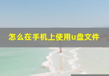 怎么在手机上使用u盘文件