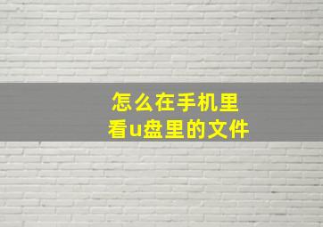 怎么在手机里看u盘里的文件