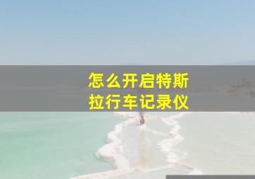 怎么开启特斯拉行车记录仪