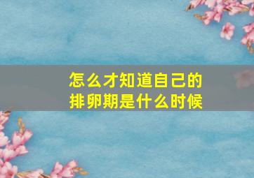 怎么才知道自己的排卵期是什么时候