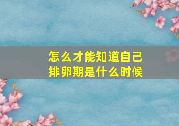 怎么才能知道自己排卵期是什么时候