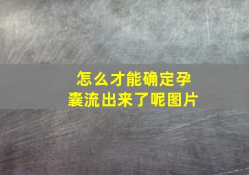 怎么才能确定孕囊流出来了呢图片