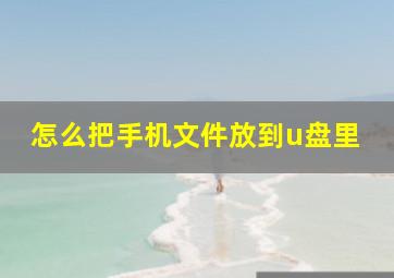 怎么把手机文件放到u盘里