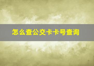 怎么查公交卡卡号查询