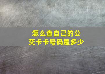 怎么查自己的公交卡卡号码是多少