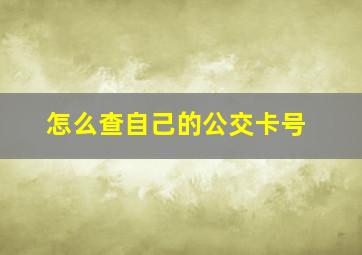 怎么查自己的公交卡号