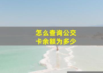 怎么查询公交卡余额为多少