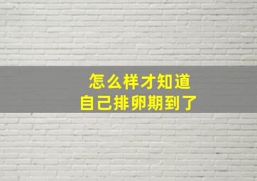 怎么样才知道自己排卵期到了