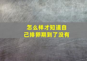 怎么样才知道自己排卵期到了没有