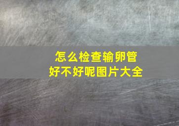 怎么检查输卵管好不好呢图片大全