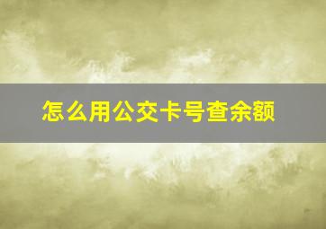 怎么用公交卡号查余额