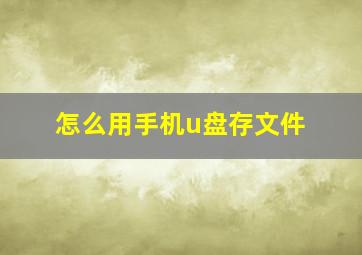 怎么用手机u盘存文件