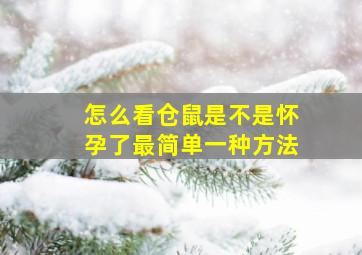 怎么看仓鼠是不是怀孕了最简单一种方法