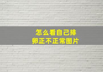 怎么看自己排卵正不正常图片