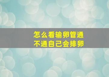 怎么看输卵管通不通自己会排卵