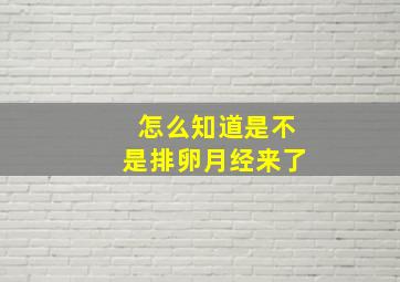 怎么知道是不是排卵月经来了