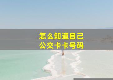 怎么知道自己公交卡卡号码