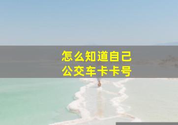 怎么知道自己公交车卡卡号