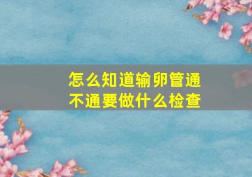 怎么知道输卵管通不通要做什么检查